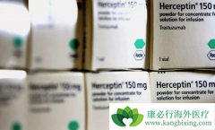 1��������鵥������������Ȼ������HER2�������ٰ��ı�׼ѡ�񷽰�