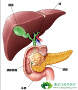 �˽���������ٰ����Ʒ��������½�չ