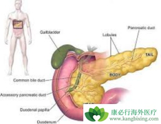 ���ٰ����Ƶĳ��淽������Щ����Ч��Σ�