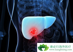 ���Ӱ���ҩ���ѳ�Ϊ���ڸΰ�����������·���