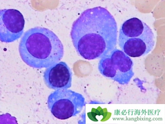 ���������������ǶȰ���ʹ�෢�Թ��������ߵ�PFS���6����