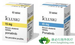 ��������Բ�ͬ�׶�CML��Ph+ALL���ߵİ�ȫ�Ժ���Ч����