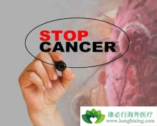 ���ֻ��������ٰ��ķ������������