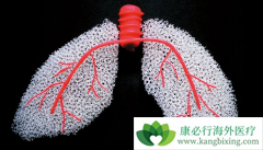 ����ά�������ƹ����л���Ӧע����Щ���⣿