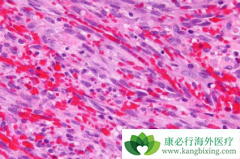 ʲô�ǿ�������������������������Щ�ٴ����֣�