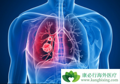 �������Ʋ����ʺ����е����ڷΰ�����