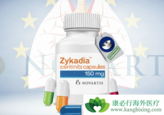 �ڷ�������ҩ����������ķ��ü������ٱȽϺã�