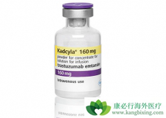 T-DM1�������ٰ����������Ƶ�Ч���������鵥��Ҫ��