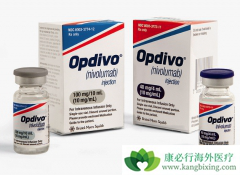 ��֢�����Ʒ����䵥������ķ��������������Щ���͵İ�֢����