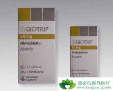 ��������(AFATINIB)ÿ����ҩ������Ϊ40mg��ĺ�����ȫ��