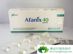 ����������ҩ��ʹ�ð�ϣ������������������ڵ��ӳ�