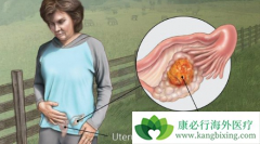 �ѳ���Ƥ���ѳ�����Ϊ������һ�ַ���