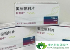 PARP���Ƽ���CDK4/6���Ƽ������������ٰ����Ƶ�ȫ�°���ҩ��