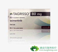 ��Сϸ���ΰ����߳���T790Mͻ�����ʹ�õ�����EGFR-TKI��ϣ����