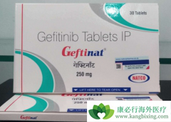 �ΰ�ҩ������ɳЧ����EGFRͻ������Ӱ��