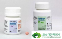 ������������޷�����ʹ����BRAFͻ���ɫ�������߻���