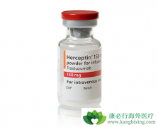 HER2���Ե����ٰ�����ʹ�������鵥��/����͡���Ƶ�Ч����Σ�