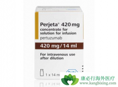 �����鵥���Ǽ������鵥�������һ����HER2ҩ��