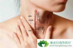 �ٴ����ϵļ�״�������ķ�����������Щ��