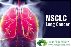 ��Сϸ���ΰ��ĳ�������ҩ������Щ��