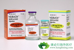 CTLA-4������PD-1������Ŀǰ�����İ�֢��������ҩ��