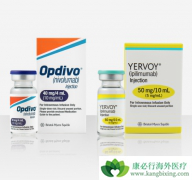 ��ƥ������Yerovy����Ŀǰ�׸��������е�CTLA-4���Ƽ�