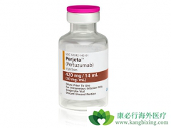 �����鵥��������ΪHER2�������ٰ����ߴ�������ϣ��