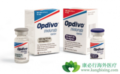 PD-L1������ߵİ�֢���߿���һ��ʹ����������ҩ����