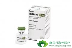 �뻯�����Keytruda�����ӳ��ΰ����ߵ��޽�չ�����ڸ�������