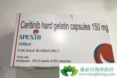 ɫ�����ᱻ��׼Ϊ��������󸴷��Ļ�������NSCLC������