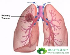 ��Щ����ϵͳ�ļ����������ζ�����ѹ��