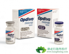 ��Сϸ���ΰ�����������ҩ������Ʒ��ܹ���ȫ���������