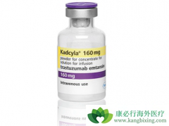 T-DM1����HER2�������ٰ����ߵĸ������Ƶ���Ч��ô����