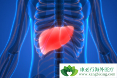 ��������(XL184)��PD-1��������ĸ����Ƹΰ�Ч���ã�