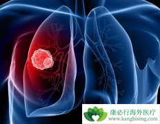 ��ϣ����9291����Էΰ�egfr�е��ҩ����Ч��ô����