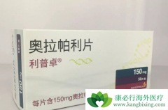 PARP���Ƽ���������춨��HER2�����������ٰ������Ƶ�λ