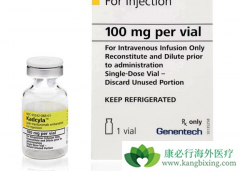 ���ٰ���ҩT-DM1������Ч���봫ͳҩ�￨����������ĸ��ã�