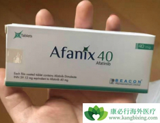 ������������������ΰ�egfr�е�ҩ����ʲô���ƣ�