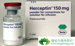 �����鵥��������͡����HER2����θ�����ߵ��Ƽ���ҩ