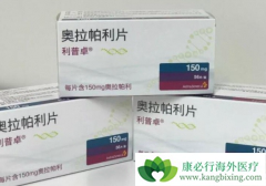 PARP���Ƽ���������Ϊ���ٰ��ѳ������ߴ�����ϣ��