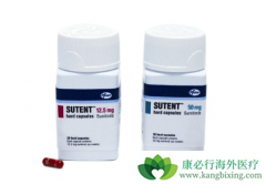 ������ϸ����Ŀǰһ�����ư���ҩ���Ƽ�ʹ���������ᣨsutent��