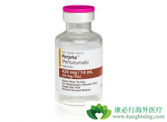 �����鵥�����Ϻ���͡����HER2�������ٰ��������й���������