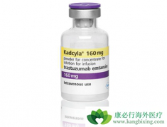 T-DM1�������鵥�������鵥��˫���������ĸ�����Ч���ã�