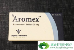 �ѳ���������ǰ�������ٰ��������ƻ���ʹ��������̹/��ŵ����