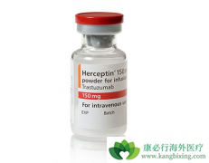 T-DM1���������鵥���Ļ�����ż��һ������ҩ��