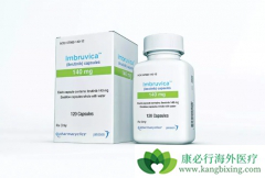 �������ᣨibrutinib���������ܰ�ϸ����Ѫ�����ߵ�һ�߱�׼���Ʒ���