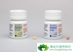 MEK���Ƽ�������������RAS����ͻ��ĺ�ɫ�������ߵ�Ч����ô����