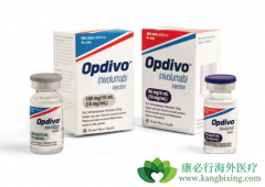 PD-1��������ҩ��Opdivo��nivolumab���������ƽ�ֱ������