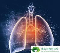 ����Сϸ���ΰ����߾���һ�����Ƹ�����Ӧ����ô�죿