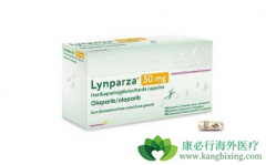 �Բ��໯��ҩ�����е��ѳ������߸��ʺϰ�������(Olaparib)����